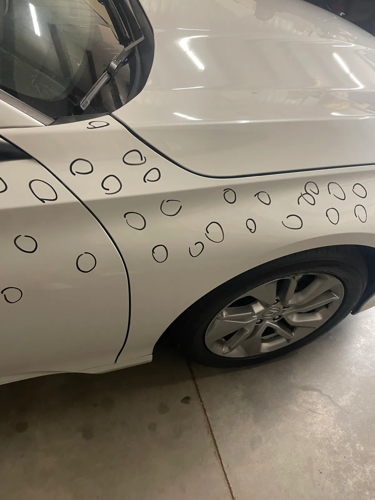 LED line board dent mapping on vehicle panel at Hail Solutions